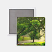 Robins op de grasmagneet magneet (Voorkant / Achterkant)