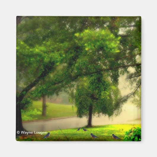 Robins op de grasmagneet magneet (Voorkant)