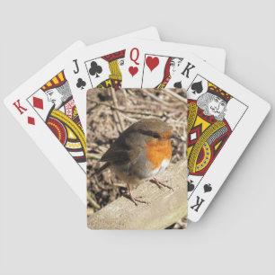 ROBINS POKERKAARTEN