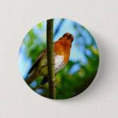 ROBINS RONDE BUTTON 5,7 CM (Voorkant)