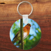 ROBINS SLEUTELHANGER (Voorkant)