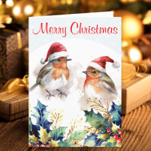 Robins Winter Sneeuw Hulst Prettig Kerstfeest