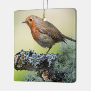 Robin's Woodland Perch Keramisch Ornament