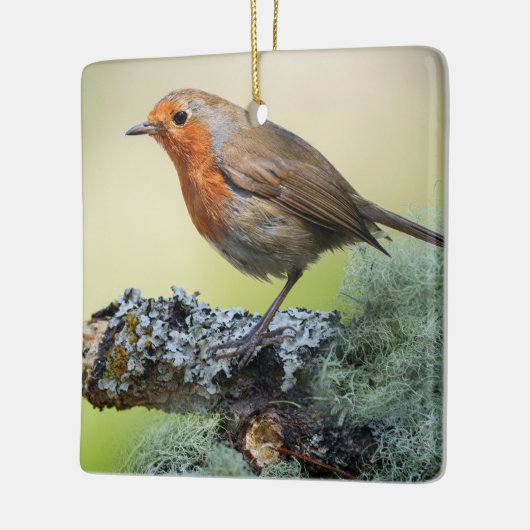 Robin's Woodland Perch Keramisch Ornament (Links)