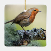 Robin's Woodland Perch Keramisch Ornament (Achterkant)