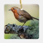 Robin's Woodland Perch Keramisch Ornament (Voorkant)