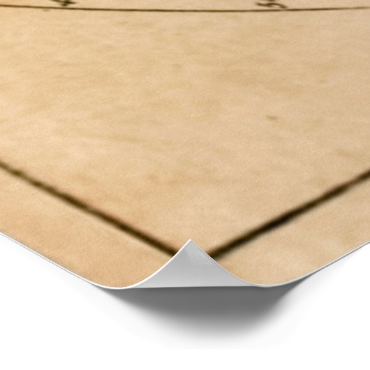 Robinson Crusoe's Map of the World Poster (Hoek)