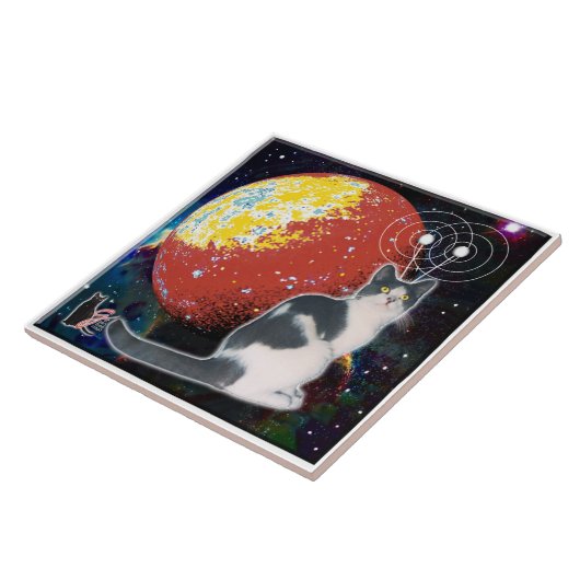 Robo-Cat Hobo Tegel Tegeltje (Zijkant)