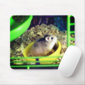 Robo hamster muismat (Met muis)