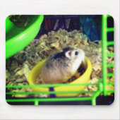 Robo hamster muismat (Voorkant)
