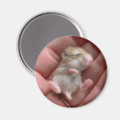 Robo Pup Magnet (Voorkant / Achterkant)