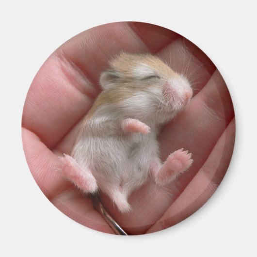 Robo Pup Magnet (Voorkant)