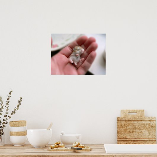 Robo Pup Poster (Keuken)