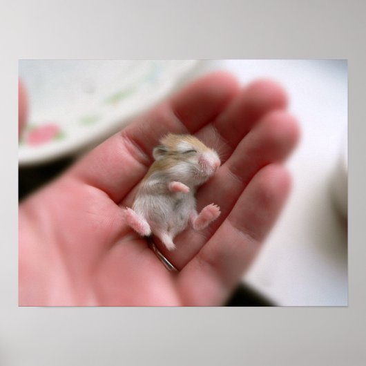 Robo Pup Poster (Voorkant)