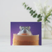 Roborovksi Hamster Briefkaart (Staand voorkant)