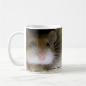 Roborovski Hamster mok (Links)