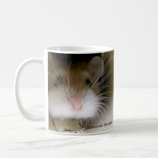Roborovski Hamster mok (Links)