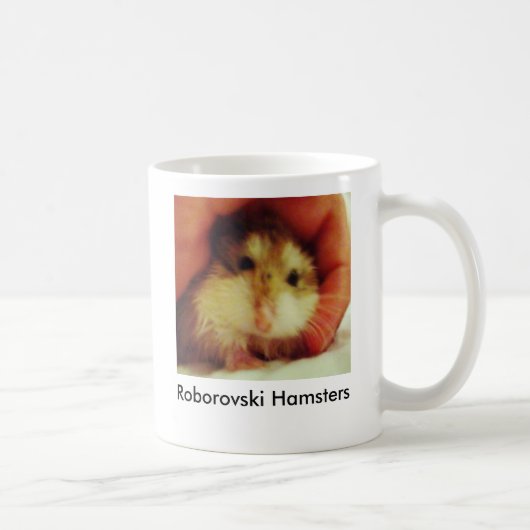 Roborovski Hamsters Home mok (Rechts)
