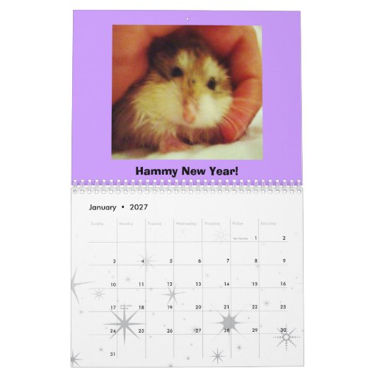 Roborovski kalender 2011 (Jan 2027)