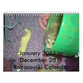 Roborovski kalender 2011