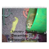 Roborovski kalender 2011 (Hoes)