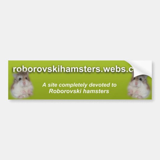 Roborovskihamsters - Bumpersticker 2 (Voorkant)