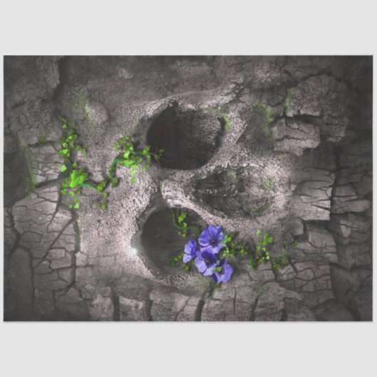 Robuust, bijtend, 12-vouwpapier tissuepapier (Voorkant)