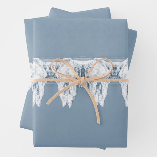 Robuust Blauw Western Bull Skull Pattern Inpakpapier Vel (In situ)