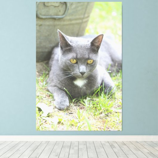 Robuust design grijze kat canvas afdruk (Insitu (Houten vloer))