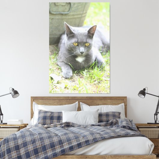 Robuust design grijze kat canvas afdruk (Insitu (Slaapkamer))