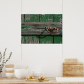 Robuust deurhandvat op groene deur poster (Keuken)