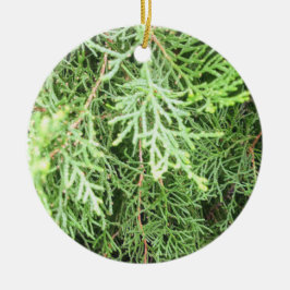 Robuust kerstfeest keramisch ornament