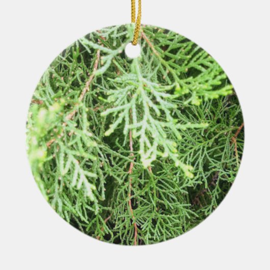 Robuust kerstfeest keramisch ornament (Voorkant)