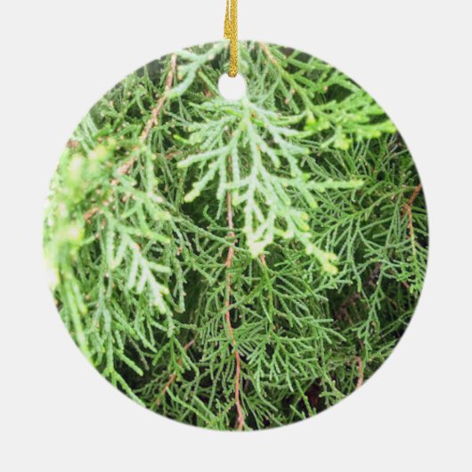 Robuust kerstfeest keramisch ornament (Achterkant)