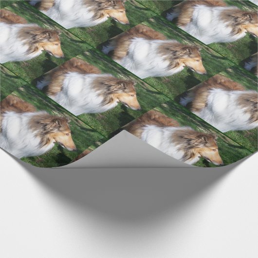Robuust, sable Collie Wrapping Paper Cadeaupapier (Hoek)
