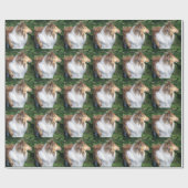 Robuust, sable Collie Wrapping Paper Cadeaupapier (Vlak)