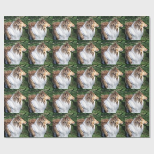 Robuust, sable Collie Wrapping Paper Cadeaupapier (Vlak)