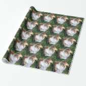 Robuust, sable Collie Wrapping Paper Cadeaupapier (Uitgerold)
