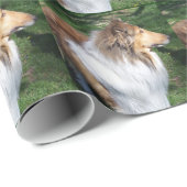 Robuust, sable Collie Wrapping Paper Cadeaupapier (Rol Hoek)