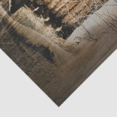 Robuust stamhout in de wilde natuur tissuepapier (Detail)