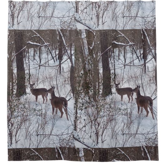 Robuuste cabine, stijlbreker in wintersneeuw douchegordijn (Voorkant)