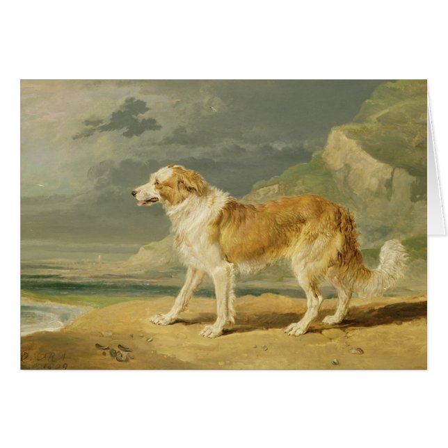 Robuuste collie, 1809 (olie aan boord) (Voorkant Horizontaal)