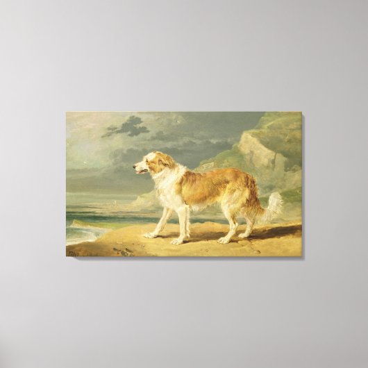 Robuuste collie, 1809 (olie aan boord) canvas afdruk (Voorkant)