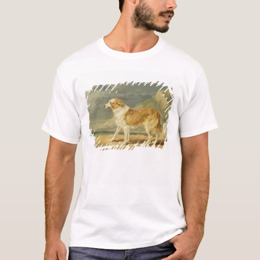 Robuuste collie, 1809 (olie aan boord) t-shirt (Voorkant)