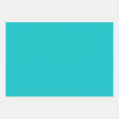 Robuuste, heldere, heldere kleurturkooi inpakpapier vel (Voorkant 2)