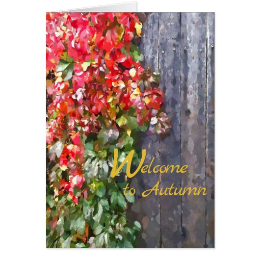 Robuuste herfstbladeren kleuren op een rustige hou (Voorkant)