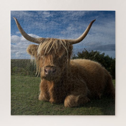 Robuuste hoogland Koe Legpuzzel (Verticaal)