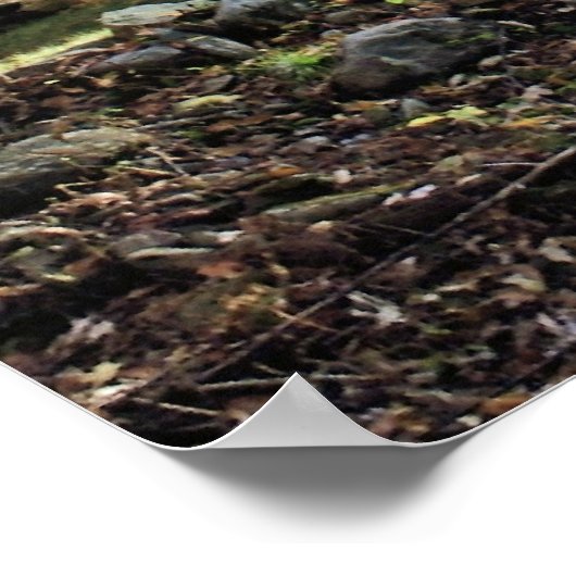 Robuuste kajuitafdrukken poster (Hoek)