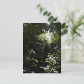 Robuuste trap/voetpad in bos, zonlicht briefkaart (Staand voorkant)