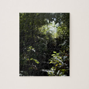 Robuuste trap/voetpad in bos, zonlicht legpuzzel